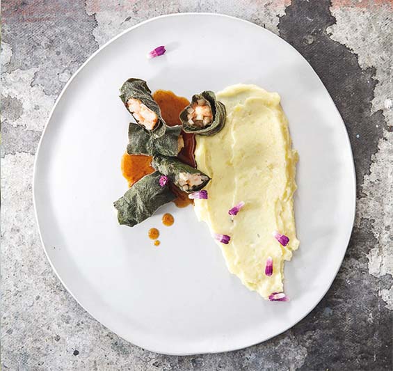 Gedämpfter Beinwell