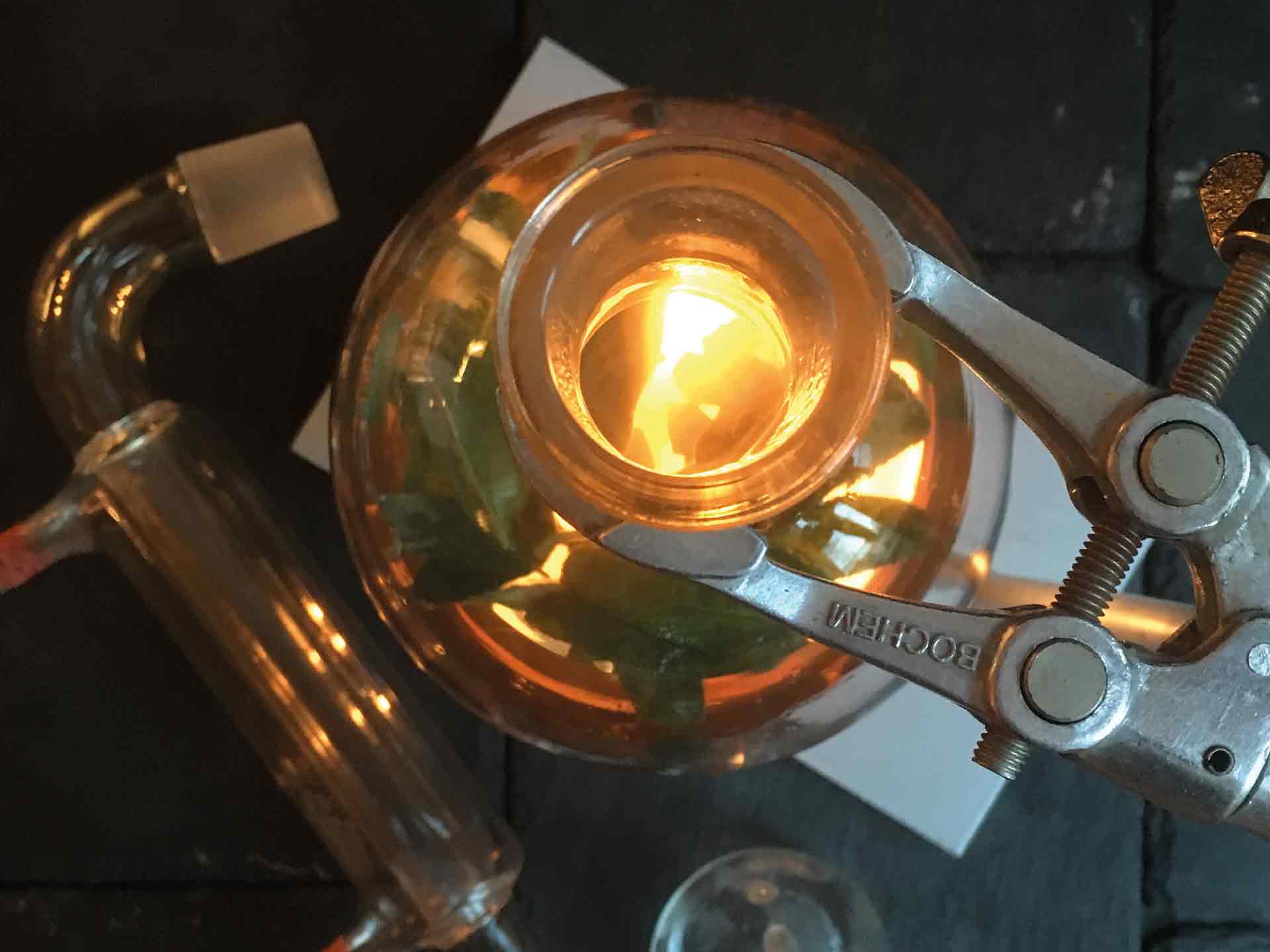 Urbane Kräuter Apotheke buchen