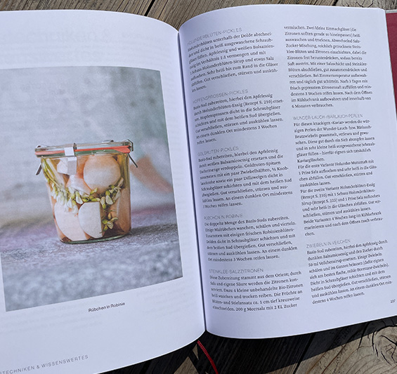 Basisrezepte und wertvolle Tipps zum Sammeln und Verarbeiten