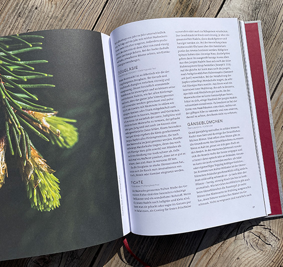 Pflanzenprofile mit fachkundigen Experten-Infos