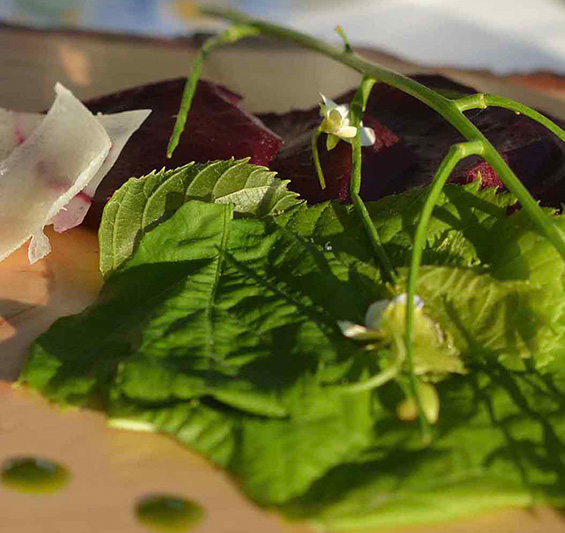 Rote Bete mit Fichtennadel-Öl