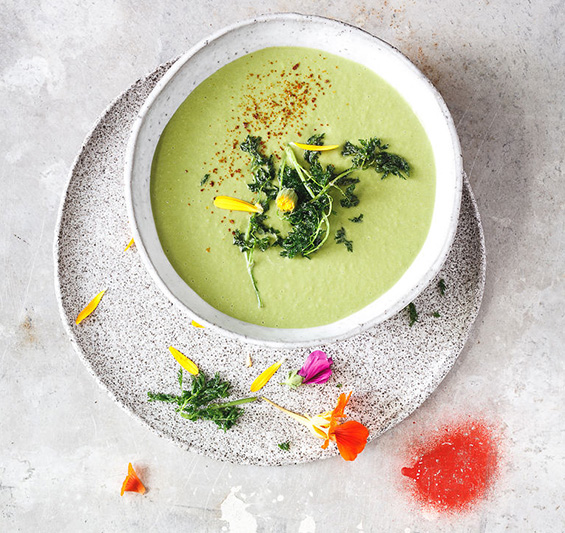 Wiesenkerbel Vichysoisse